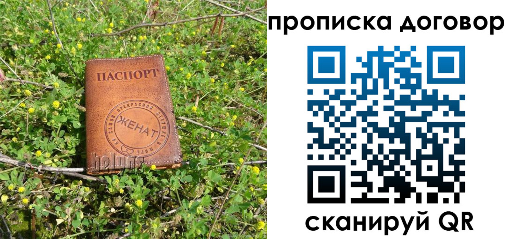 прописка регистрация в Кольчугино